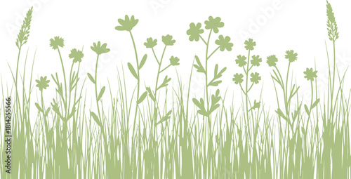 Green silhouette wild grass and wildflower border natural art Vector
