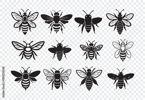 Set of diverse bee icons in black and white, featuring both solid and outlined designs