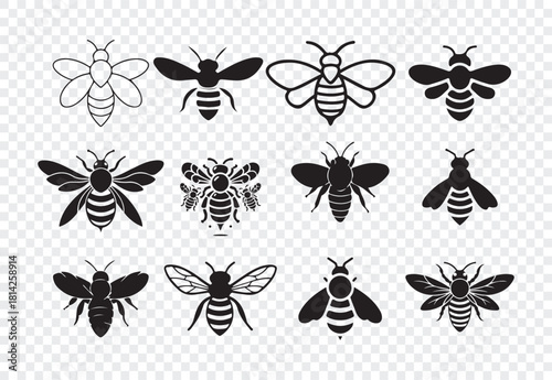 Set of black and white bee icons with both solid and outline designs on transparent