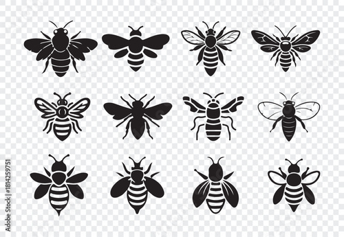Monochrome and solid black bee icons set, insect collection, various honey bee character poses