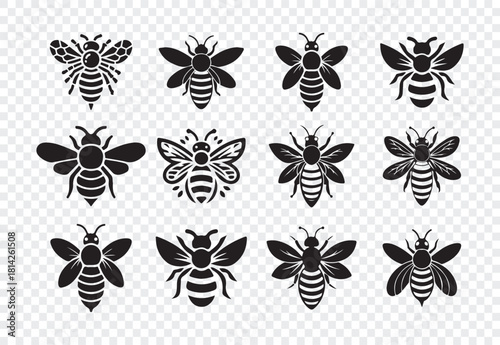 Set of honey bee bumblebee isolated design elements apis mellifera worker bee insects