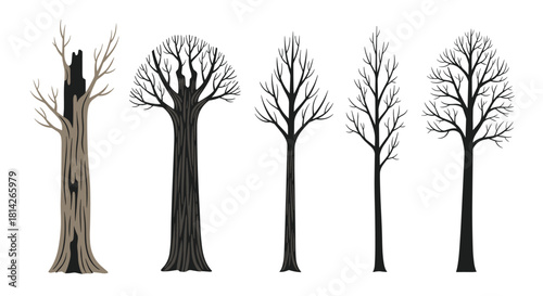 Collection of five stylized bare trees in various shapes and sizes against a white background.