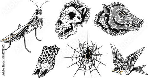 Stylized animal and object illustrations featuring mantis, skull, boar, bird, spider web, and fish tail in artistic design