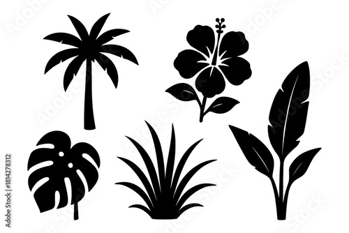 Tropical silhouette set: palm, hibiscus, monstera, grass, banana.