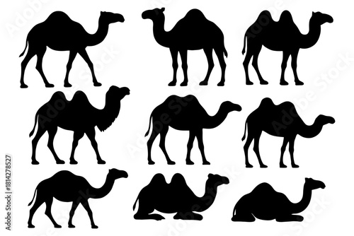 Silhouette collection of camels: various poses and angles.
