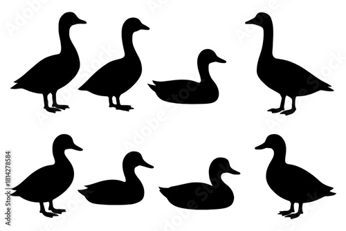 Silhouettes of ducks and geese in various poses.