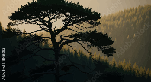 Silhouetted pine tree with forest backdrop at dusk creating a serene view