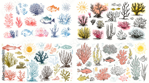 A detailed coral and fish illustration set in a classic sketch style with vibrant colors. Perfect for marine artwork, scientific themes, ocean decor, and underwater design projects.
