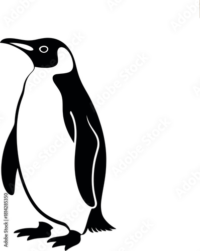 Black penguin silhouette standing white bird