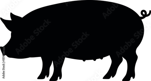 Black pig silhouette standing animal farm