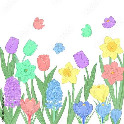 Vibrant spring flower border illustration with colorful blooming tulips, daffodils, and hyacinths, capturing the fresh essence and joyful spirit of nature's gentle awakening