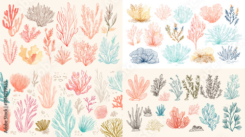 A beautiful watercolor coral collection featuring soft blue and coral tones. Ideal for ocean themed artwork, coastal decor, marine patterns, and nature inspired designs.