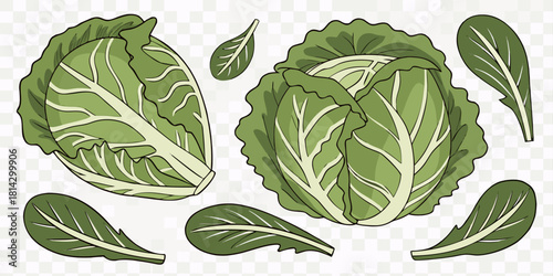 A collection of fresh green cabbages and lettuce arranged against a transparent background. The image showcases a variety of shapes and sizes, with whole cabbages and cut lettuce leaves scattered acro