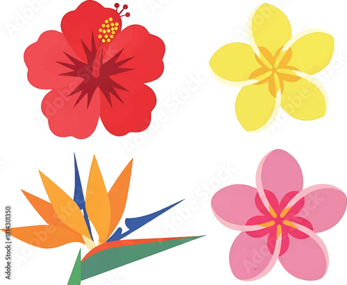 Colorful Floral Assortment Hibiscus, Plumeria, Bird of Paradise, and More - A Botanical Delight