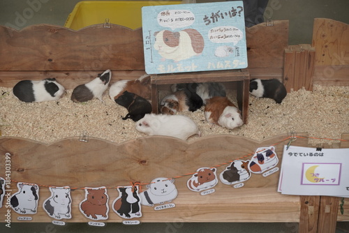 Plakat 日本の横浜の動物園