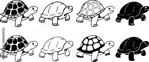 A collection of stylized illustrations of turtles is presented against a transparent background. The turtles vary in size and color, featuring shells in shades of brown, green, and tan. Each turtle is
