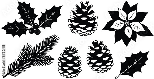 Pine cones holly leaves poinsettia flower and fir tree branches vector collection for Christmas decoration and holiday design