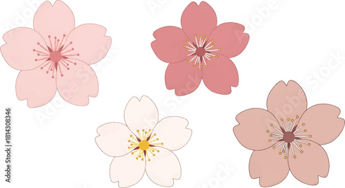 Collection of graceful Japanese cherry blossom illustrations in various soft pink, perfect for spring-themed designs 