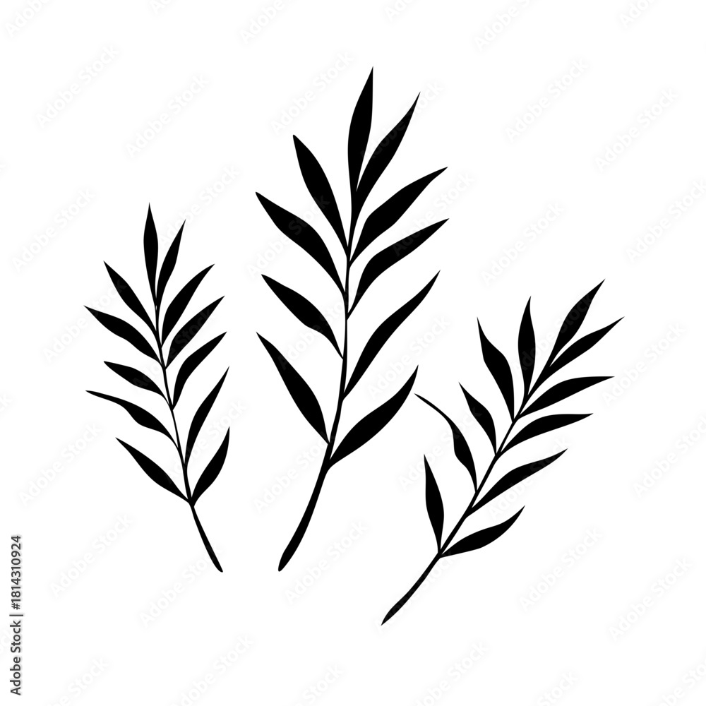 Fototapeta premium Three black silhouette palm leaves isolated on