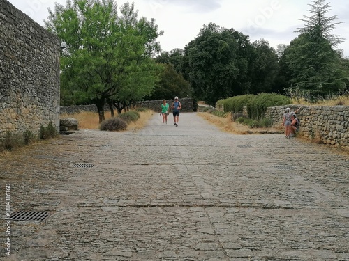 alberi