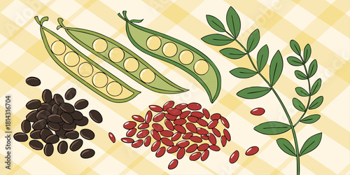 An illustrated arrangement of various legumes. Several green pea pods, some open to reveal the round green peas, are scattered across the frame. There are also piles of shelled peas. Red kidney beans 