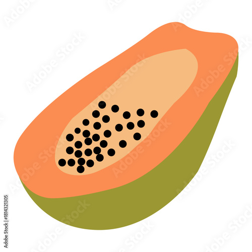Hand drawn papaya. Exotic summer fruit illustration. Flat vector fruity design for tropical packaging, healthy food label, kitchen decor.