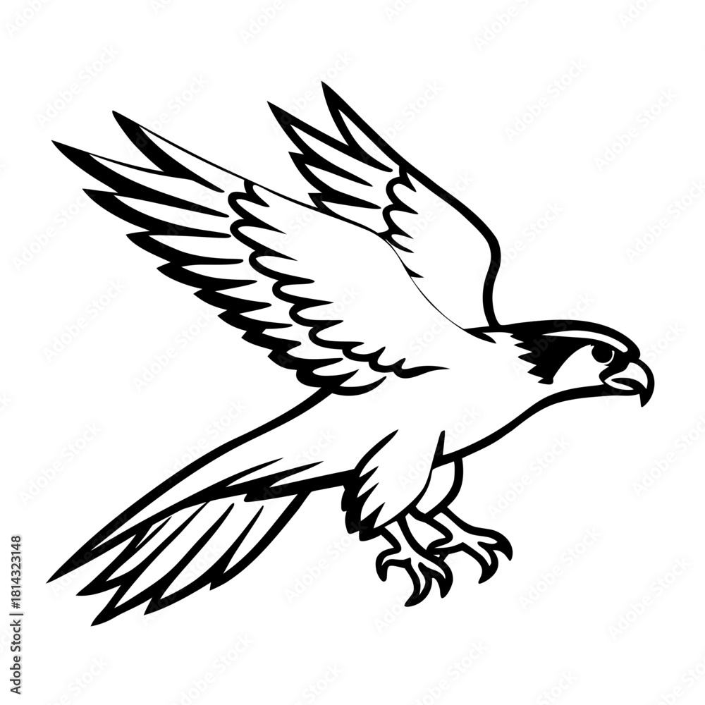 Fototapeta premium eagle vector illustration