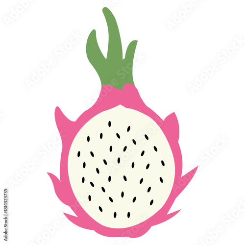 Hand drawn dragon fruit. Exotic summer fruit illustration. Flat vector fruity design for tropical packaging, healthy food label, kitchen decor.