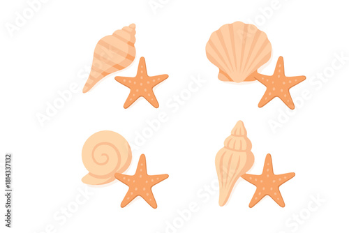 Set of various seashells and starfish arranged in pairs on a white background