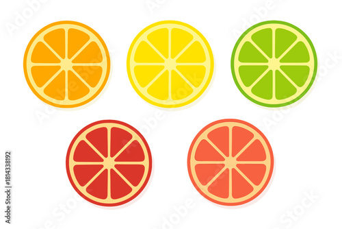 Vibrant assortment of citrus fruit slices: orange, lemon, lime, and grapefruit