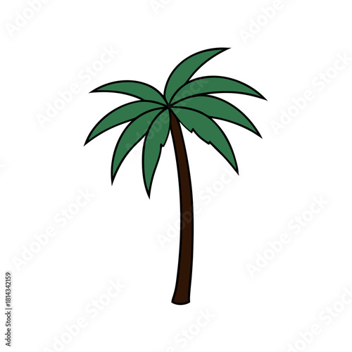 palm tree vector