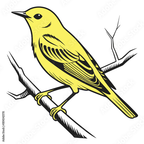 Nature Bird Perched on Branch with Stylized Details Vector

