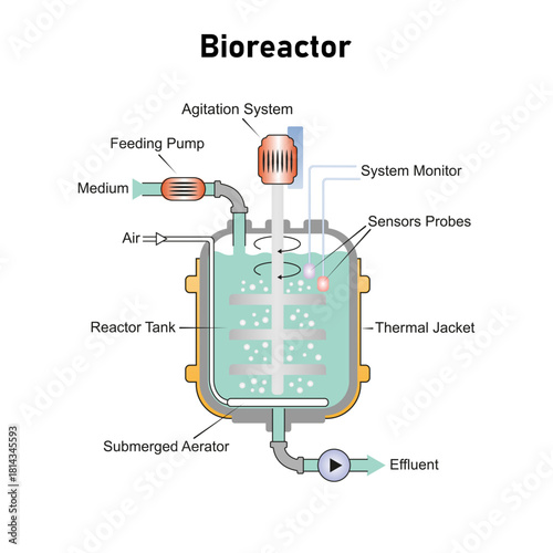 Bioreactor Diagram Science Design. Vector Illustration.