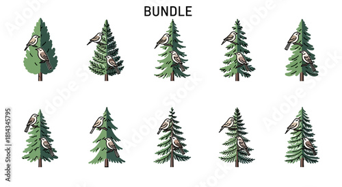 Vector illustration bundle of a woman riding a bicycle with city buildings and various cycling-related icons.