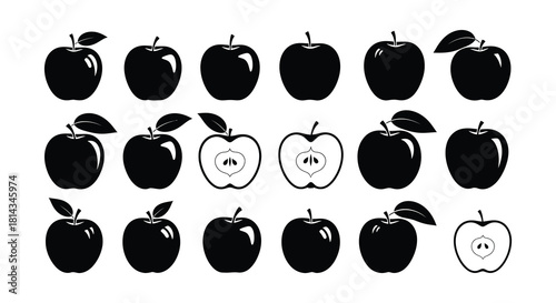 A collection of black and white apple illustrations in various views