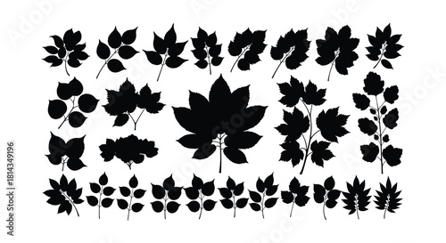Black silhouettes of various leaf shapes arranged in a botanical pattern
