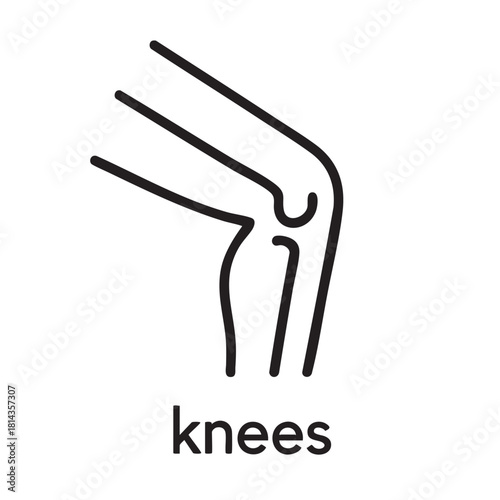 Simple line drawing depicting a human knee joint and lower leg anatomy showcasing skeletal structure