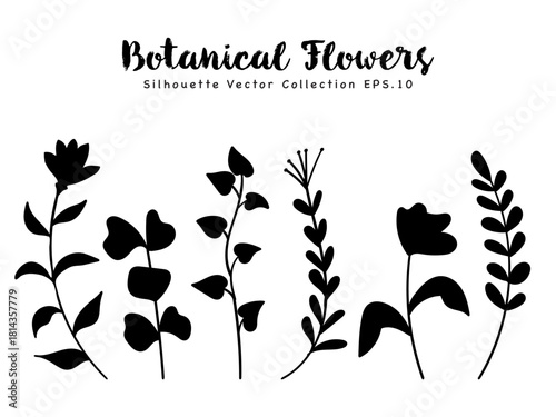 Flowers silhouette botanical set vector illustration