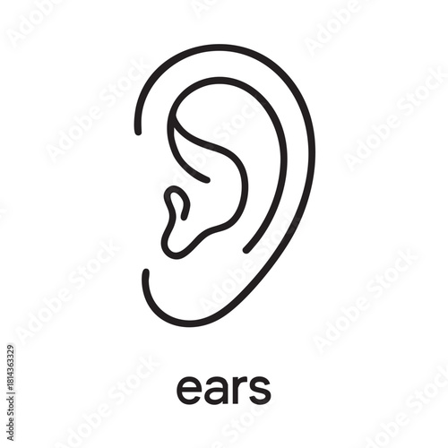 A simple black and white line drawing depicts a human ear with the word ears below it