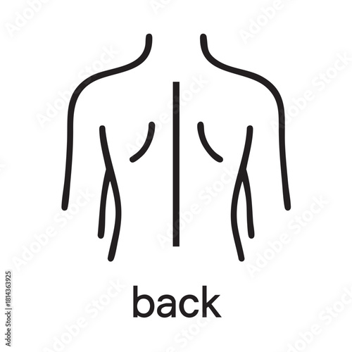 a simple line drawing depicts the human back highlighting the spine and shoulder blade areas