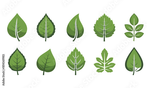 Set of 10 Different Green Leaf Icons. Collection of Various Tree and Plant Foliage Shapes for Nature, Ecology, and Botanical Design.