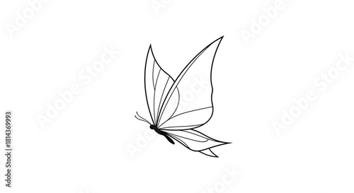 A delicate black and white line drawing of a butterfly in mid-flight.