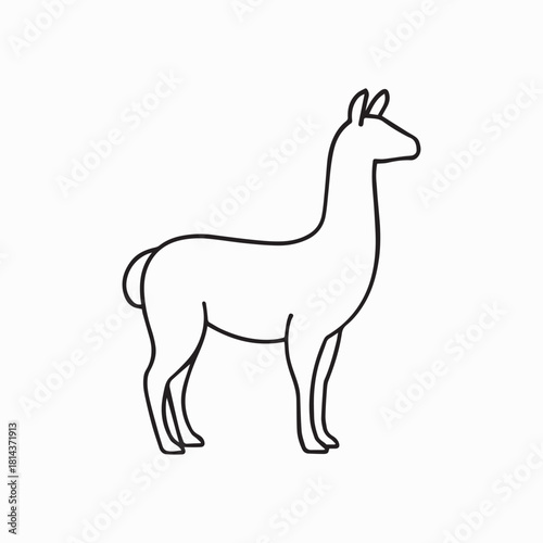 Llama line art vector illustration. Minimalist standing alpaca outline isolated on white background.