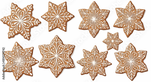 A collection of eight star shaped gingerbread cookies decorated with white icing on a white background