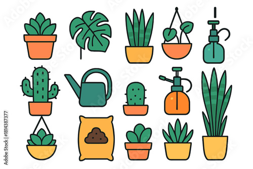 Set of potted houseplants and essential gardening tools for indoor home decor and care