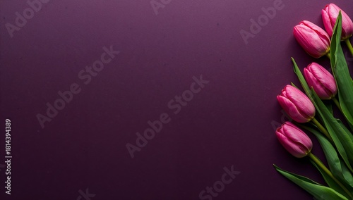 Pink Tulips Arranged Elegantly on a Deep Purple Surface for a Fresh Spring Look