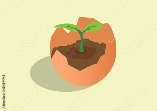 Garden recycling by utilizing eggshell waste.