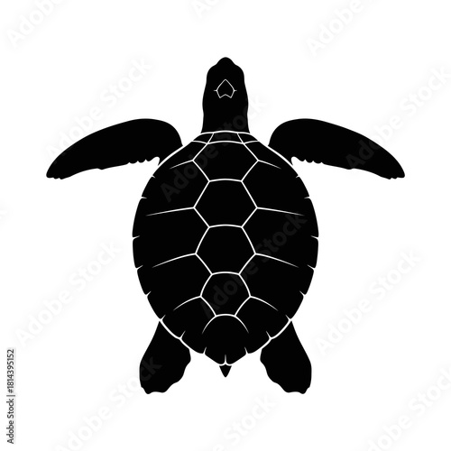 Black silhouette of a sea turtle swimming with flippers extended isolated on white background silhouette