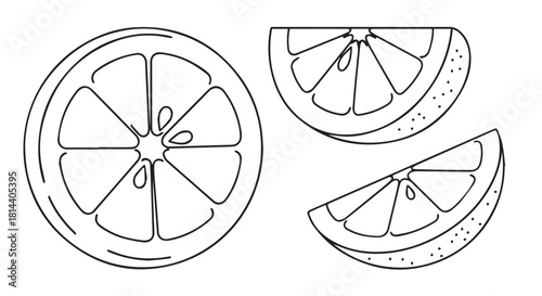 Circular arrangement of lemon and lime citrus slices with wedges, showcasing bright, fresh fruit slices.