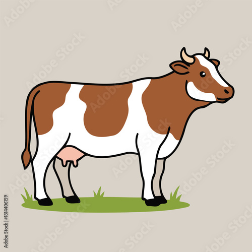Cute Dairy Cow (Bos Taurus) Standing On Grass, Brown And White Farm Animal Character In Flat Design Style Vector Illustration